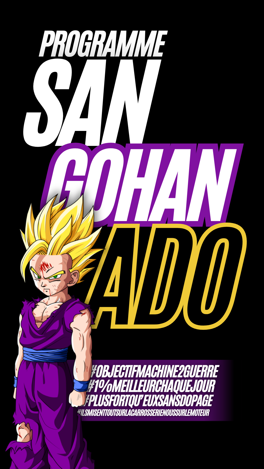 PROGRAMME GOHAN ADO